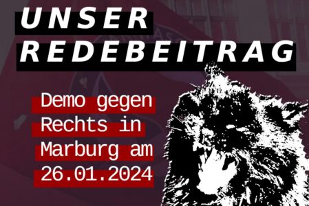 Unser Redebeitrag auf der Demo “Gegen die Afd!” in Marburg am 26.01.2024